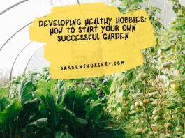 Developing Healthy Hobbies How to Start Your Own Successful Garden