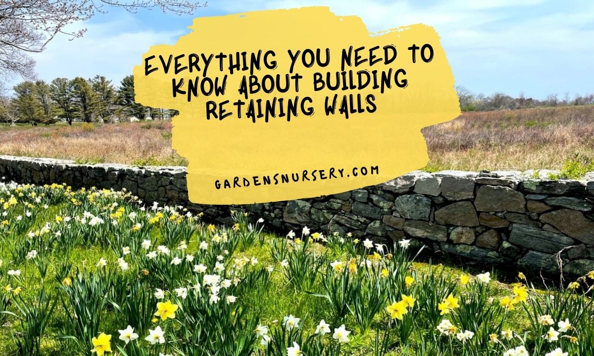 Everything You Need to Know About Building Retaining Walls