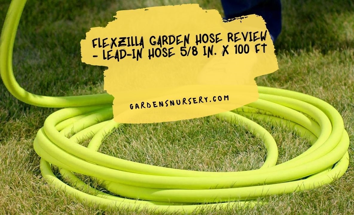 Flexzilla Garden Hose Review - Lead-In Hose 5/8 In. X 100 Ft