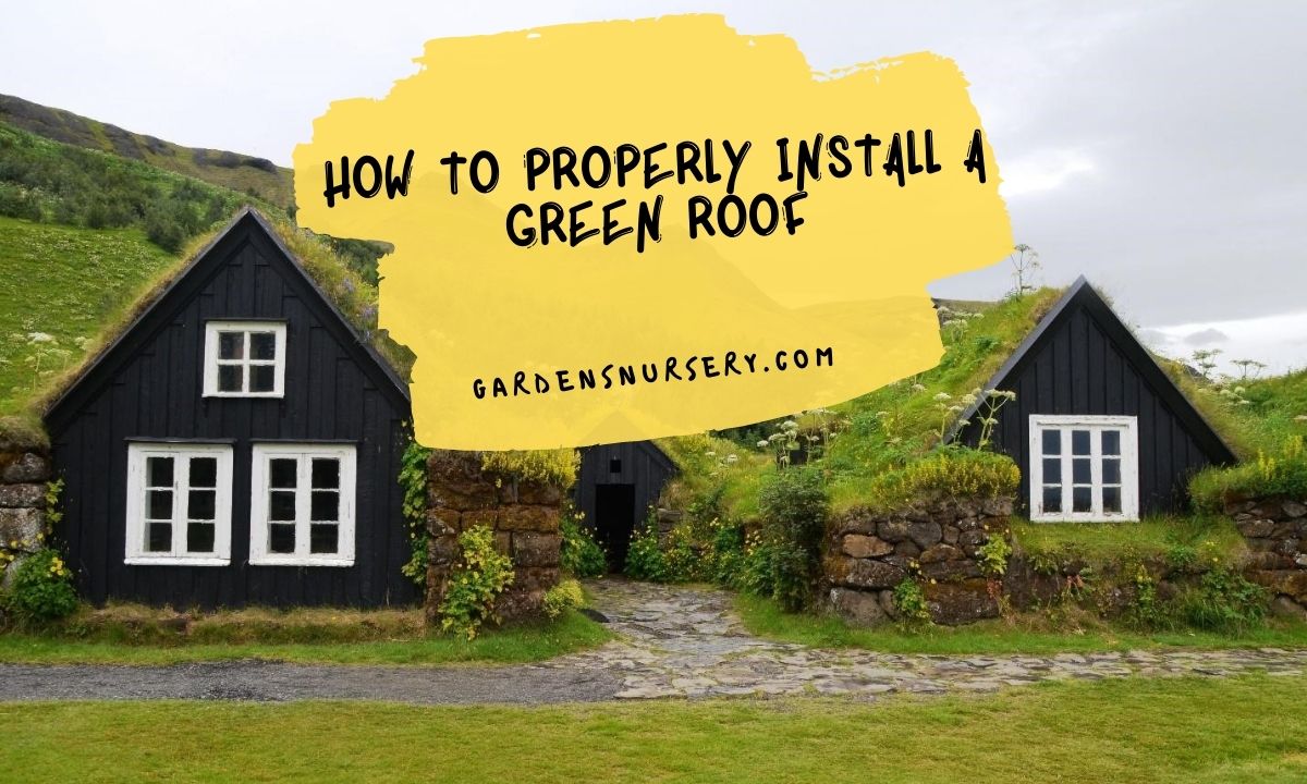 How to Properly Install a Green Roof