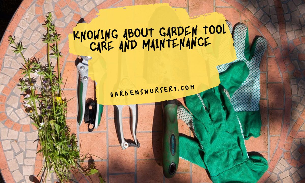 Knowing About Garden Tool Care and Maintenance