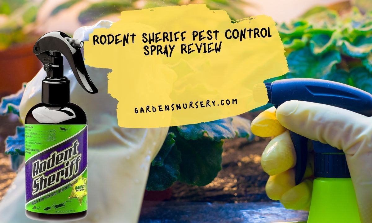 Rodent Sheriff Pest Control Spray Review