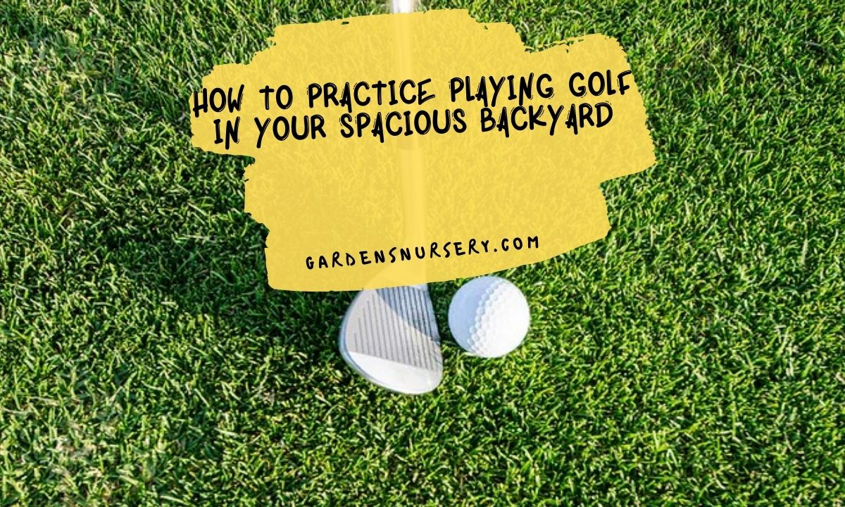 How to Practice Playing Golf in Your Spacious Backyard