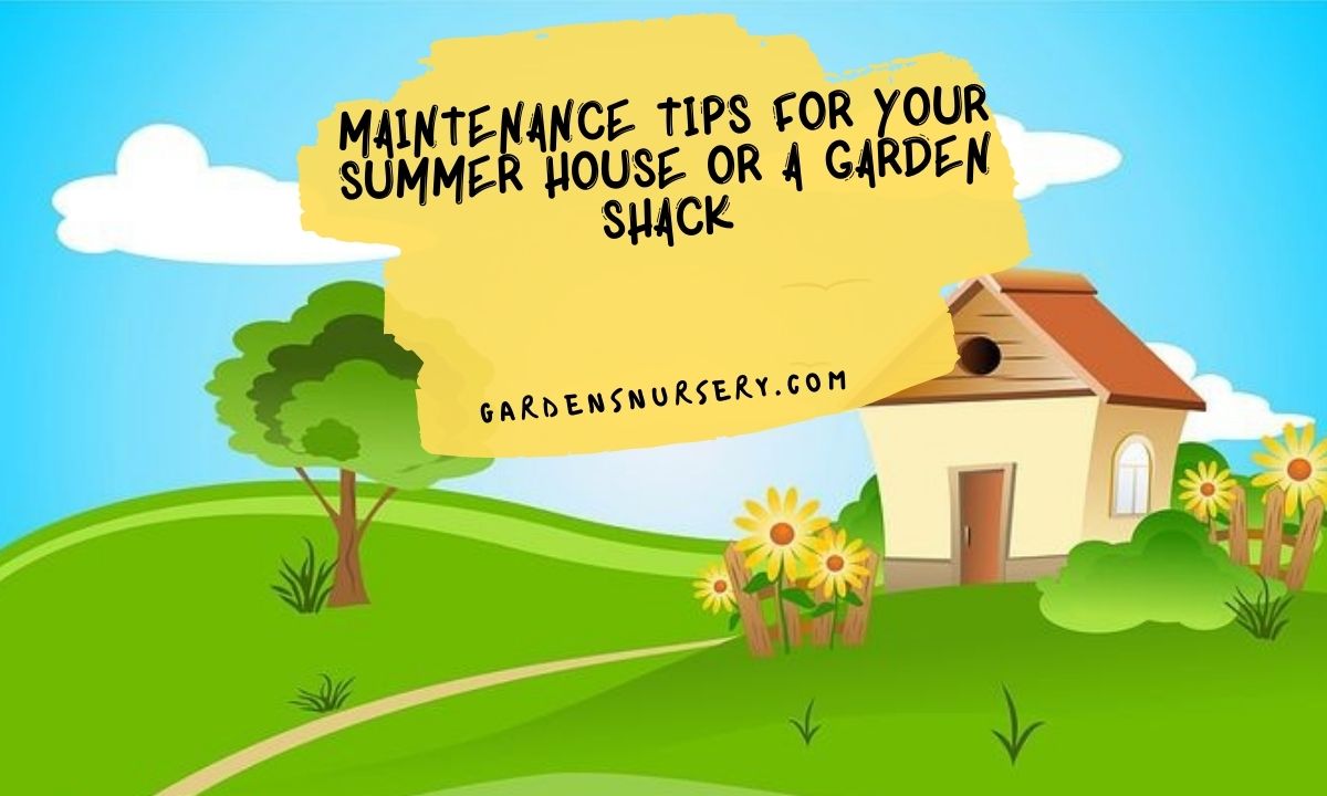 Maintenance-Tips-for-Your-Summer-House-or-Garden-Shack