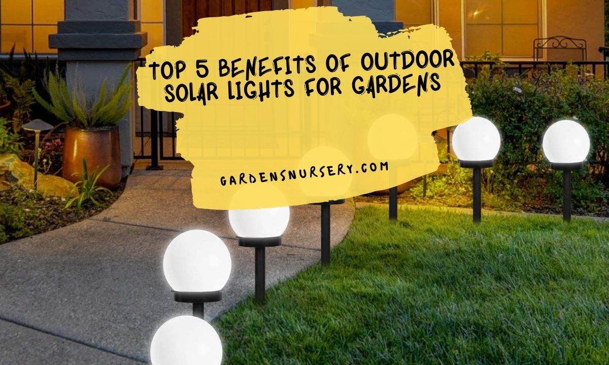 Top 5 Benefits of Outdoor Solar Lights for Gardens