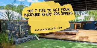 Top 7 Tips To Get Your Backyard Ready for Spring