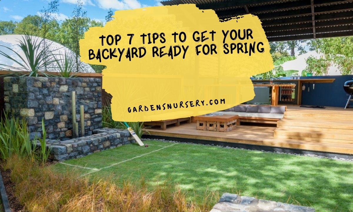 Top 20 Tips To Get Your Backyard Ready For Spring   GARDENS NURSERY