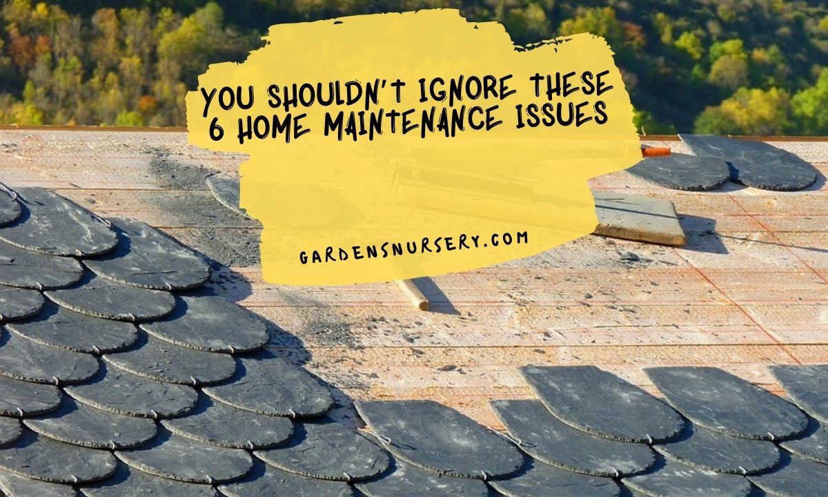 You Shouldn’t Ignore These 6 Home Maintenance Issues