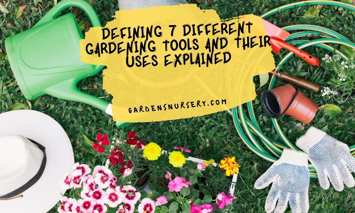 Defining 7 Different Gardening Tools And Their Uses Explained