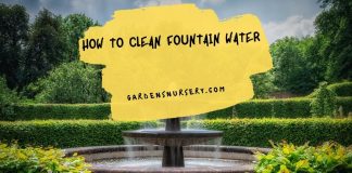 How to Clean Fountain Water