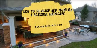 How to Develop and Maintain a Seasonal Landscape