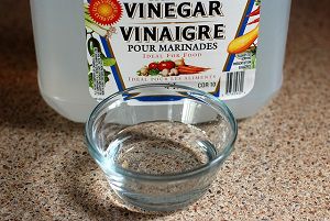 How to Get Rid of Ants with Vinegar
