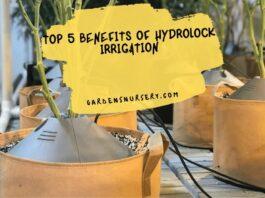 Top 5 Benefits of HydroLock Irrigation