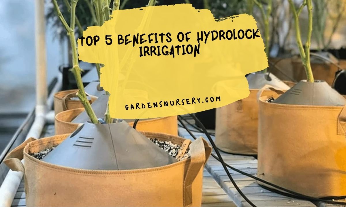 Top 5 Benefits of HydroLock Irrigation