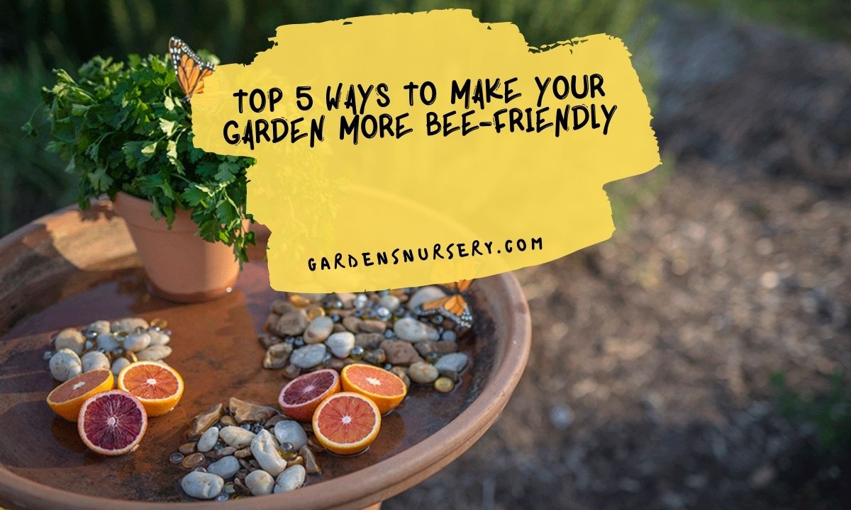 Top 5 Ways to Make Your Garden More Bee-Friendly