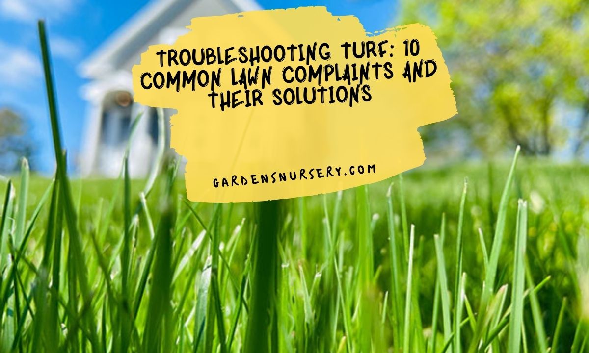 Troubleshooting Turf 10 Common Lawn Complaints And Their Solutions