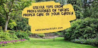 Useful Tips From Professionals on Taking Proper Care of Your Garden