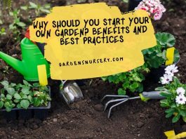 Why Should You Start Your Own Garden Benefits and Best Practices