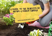 A Guide To The Benefits Of Having A Flower Garden