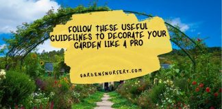 Follow-These-Useful-Guidelines-To-Decorate-Your-Garden-Like-a-Pro