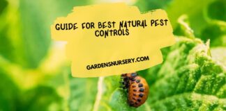 Guide For Best Natural Pest Controls