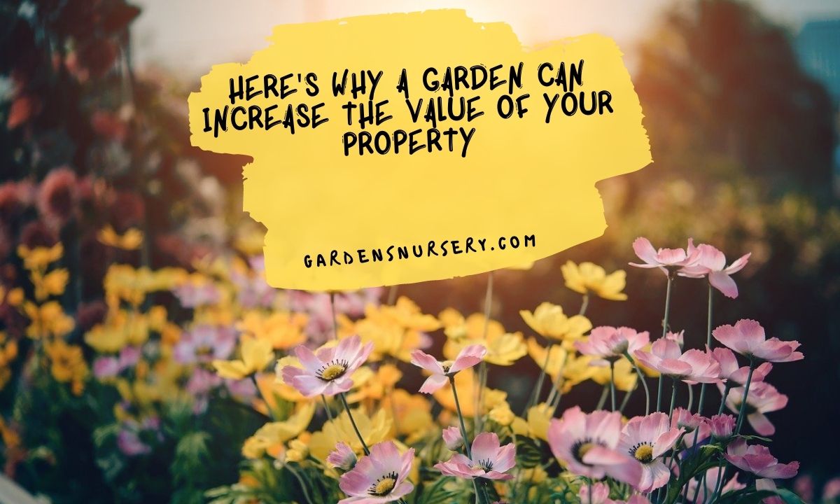 Here's Why a Garden Can Increase the Value of Your Property