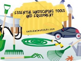 Top 9 Essential Landscaping Tools And Equipment You Need For A Backyard Project