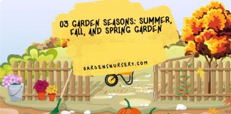 03 Garden Seasons Summer, Fall, and Spring Garden