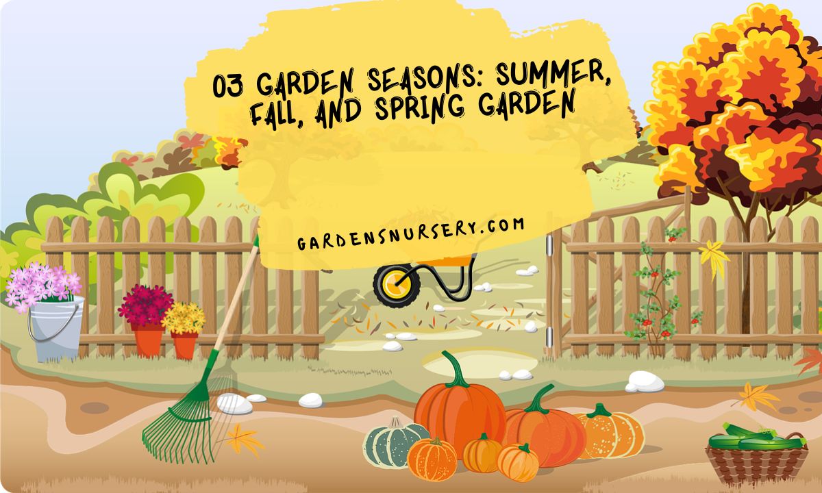 03 Garden Seasons Summer, Fall, And Spring Garden