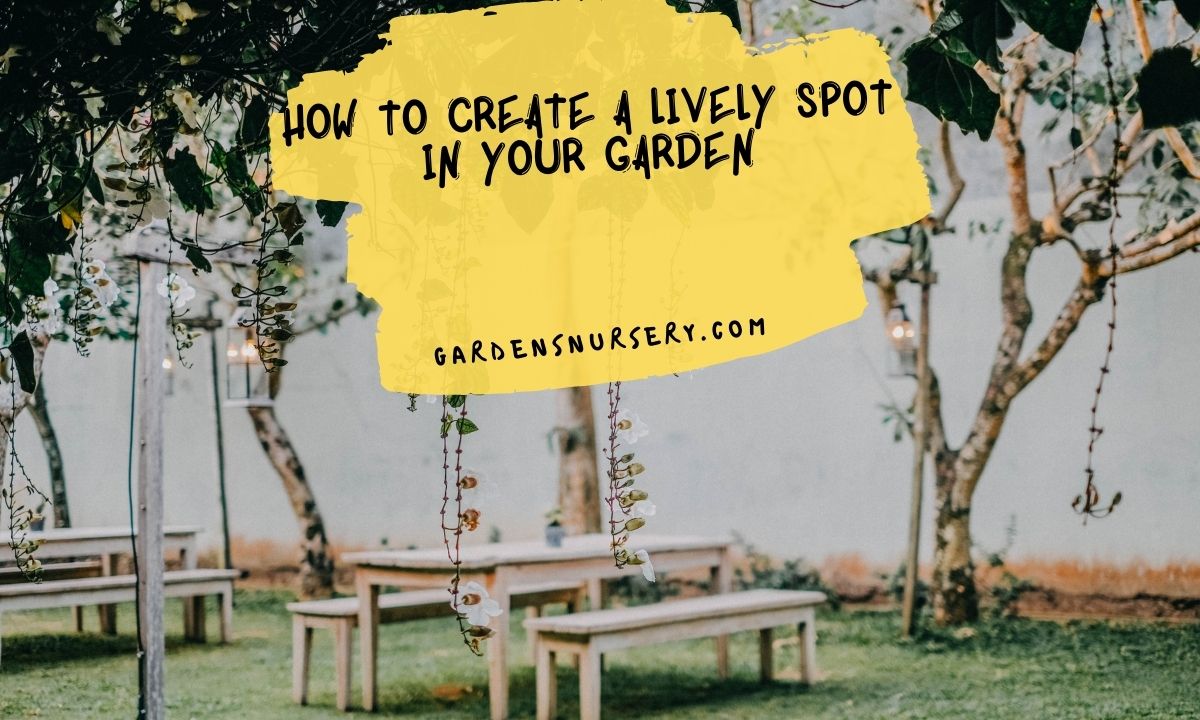 How To Create A Lively Spot In Your Garden