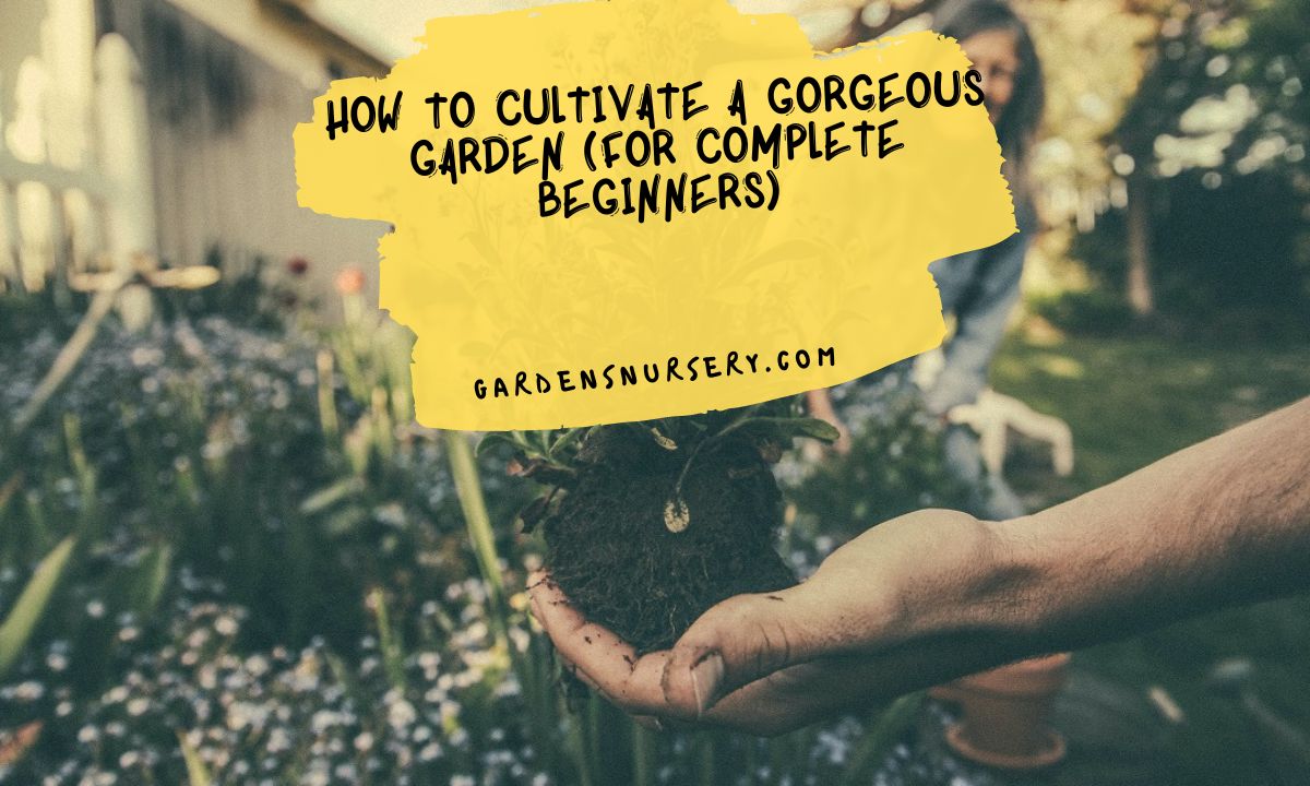 How To Cultivate A Gorgeous Garden (For Complete Beginners)