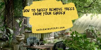 How To Safely Remove Trees From Your Garden