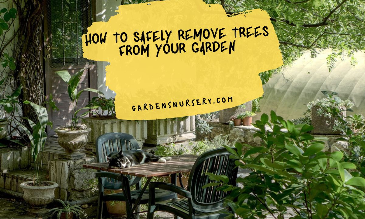 How To Safely Remove Trees From Your Garden