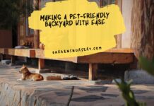 Making a Pet-Friendly Backyard with Ease