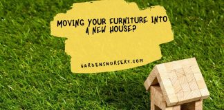Moving Your Furniture Into a New House? Here Are Some Useful Tips to Help You Out