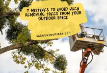 7 Mistakes To Avoid When Removing Trees From Your Outdoor Space