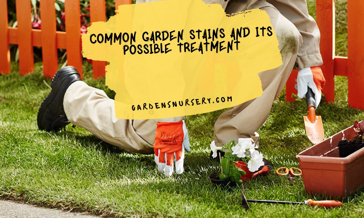 Common Garden Stains and Its Possible Treatment