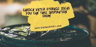Garden Water Storage Ideas You Can Take Inspiration From