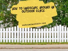 How To Landscape Around An Outdoor Fence