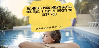 Swimming Pool Maintenance Routine 7 Tips & Tricks to Help You