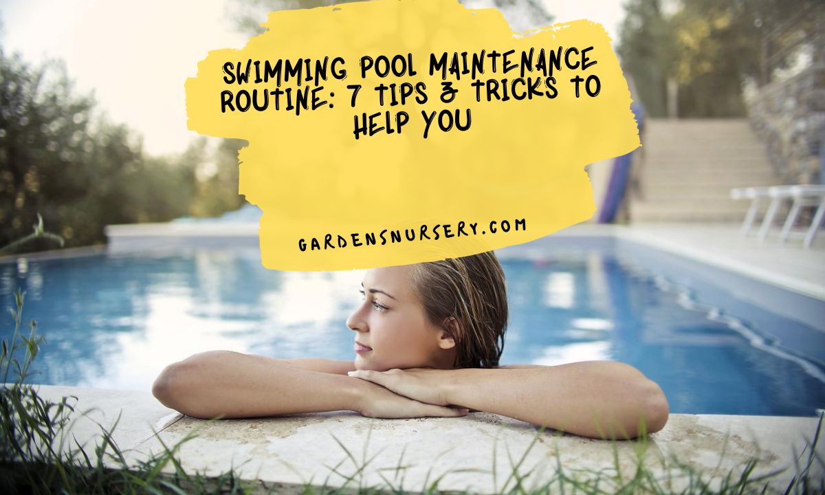 Swimming Pool Maintenance Routine 7 Tips & Tricks to Help You