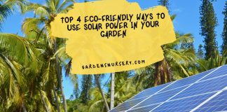 Top 4 Eco-Friendly Ways To Use Solar Power In Your Garden
