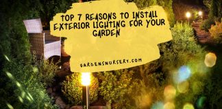 Top 7 Reasons To Install Exterior Lighting For Your Garden
