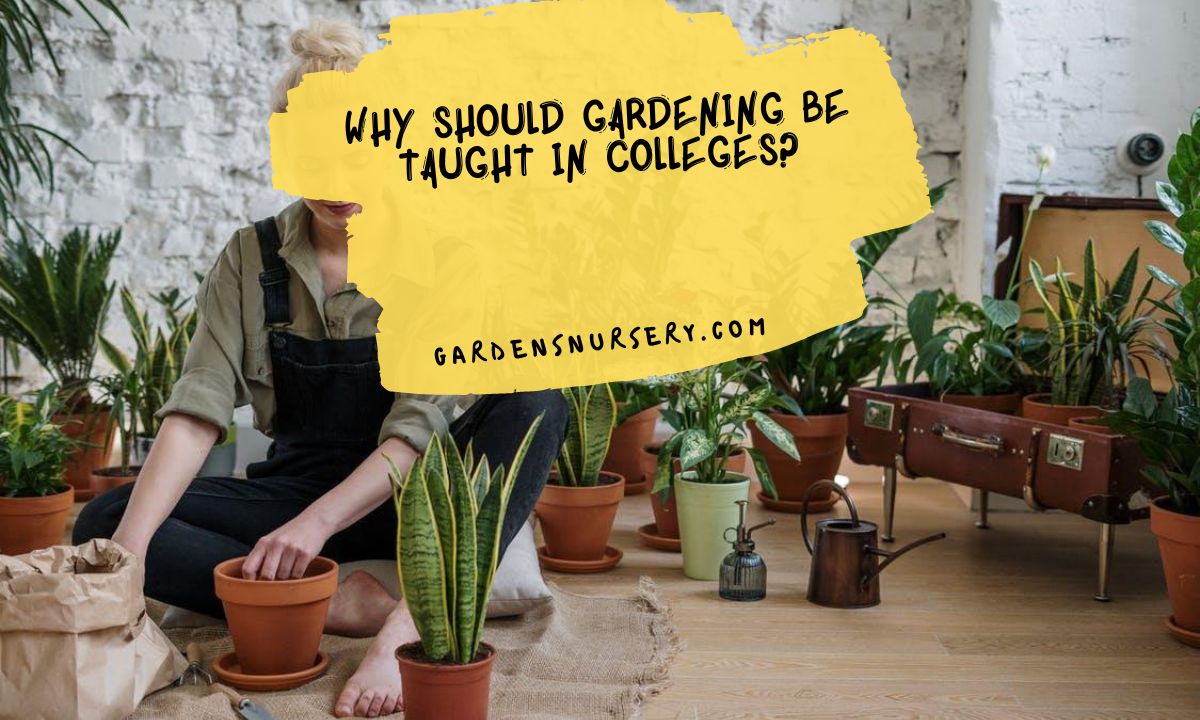 Why Should Gardening Be Taught In Colleges