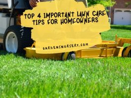 Top 4 Important Lawn Care Tips for Homeowners