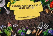 Working Your Garden So It Works for You