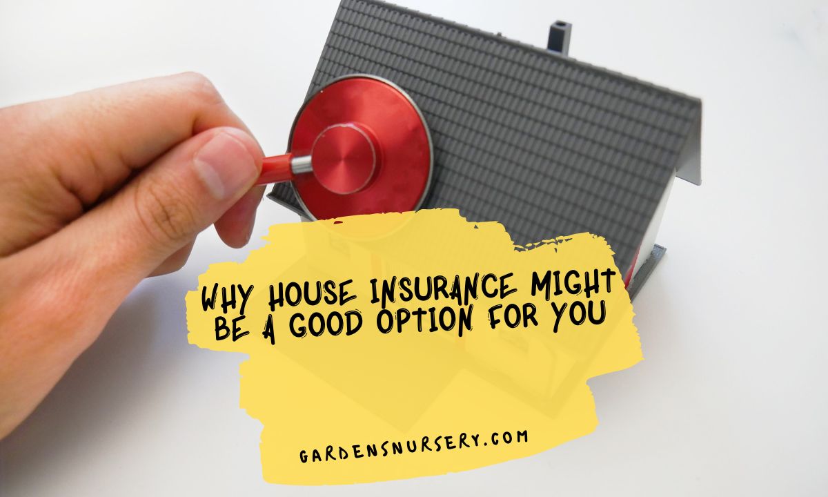 Why House Insurance Might Be A Good Option For You