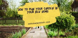 How to Plan Your Garden in Your New Home