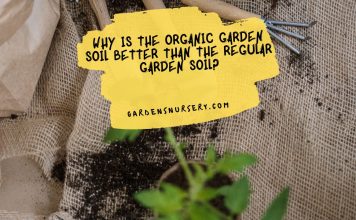 Why is the Organic Garden Soil Better than the Regular Garden Soil
