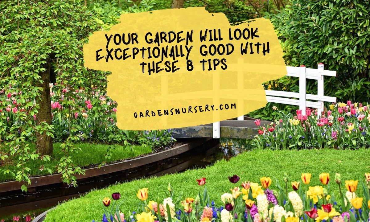 Your Garden Will Look Exceptionally Good With These 8 Tips